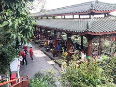 -枇杷园食为鲜火锅(南山店)
