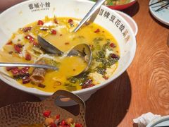 -蓉城小馆(科兴店)