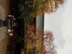 -灵谷景区