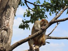 -重庆云阳龙缸景区