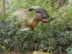 -海南热带野生动植物园