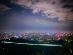 -南山植物园