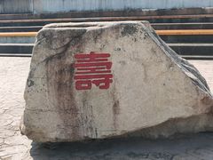 -上海滨江森林公园