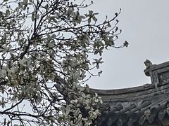 -龙华寺