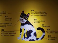 -深圳市当代艺术与城市规划馆