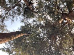 -金堂县云顶石城风景区