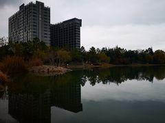 -美兰湖景区