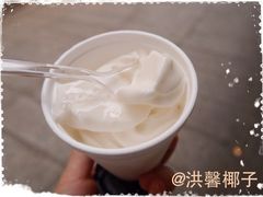 洪馨椰子-洪馨椰子