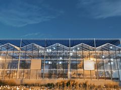 -和合谷(海淀五路居店)