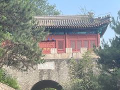 -云岗森林公园