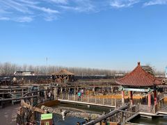 -呀路古热带植物园