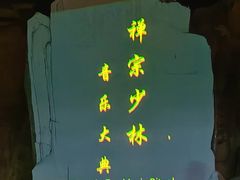 -禅宗少林·音乐大典