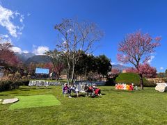 -云禾壹海景庄园餐厅