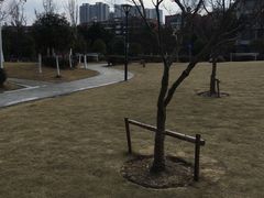 -沙河三洞古桥公园