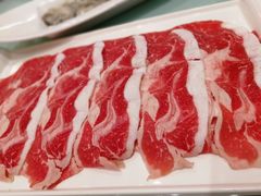 -龙福成肥牛火锅(文昌店)