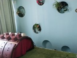 -骄阳兰多产后修复(徐东旗舰店)