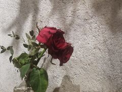 -邊渡咖啡