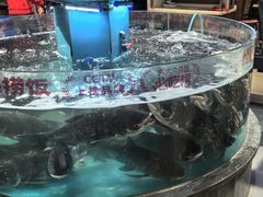 -魏铭鱼头捞饭(晋阳路店)