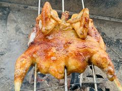 -南宁良凤江国家森林公园