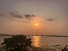 -宝安西湾红树林湿地公园