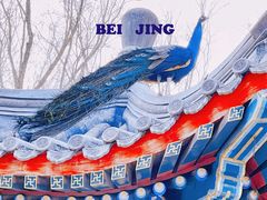 -南海子公园