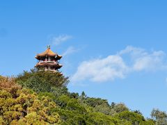 -深圳仙湖植物园