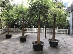 -唐廊烤鸭店(工体店)