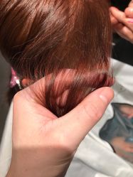 -东方麒麟·潘多拉SALON