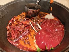 -朱光玉火锅馆(龙阳广场店)