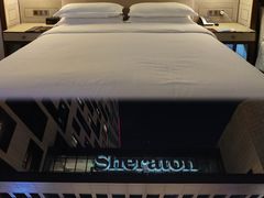 -上海嘉定喜来登酒店