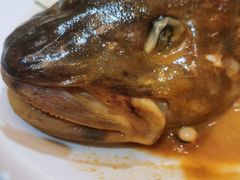 -浩家苑菜馆(汉口路店)