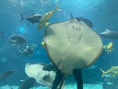 -福州罗源湾海洋世界旅游区