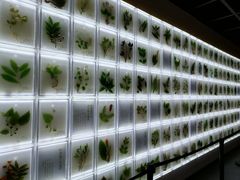-广东中医药博物馆