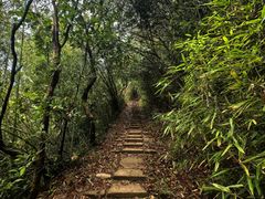 -莫干山风景区
