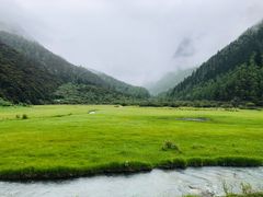 -稻城亚丁景区-冲古草甸