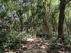 -黄埔油麻山森林公园