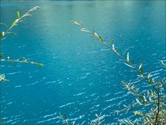 -叠溪松坪沟景区