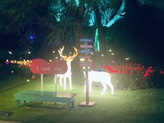 -渔岛海洋度假区