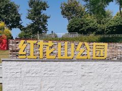 -红花山公园