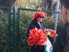 -香山公园-东宫门售票处