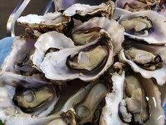 -千岛蚝高压锅生蚝·人参火锅(白云万达店)