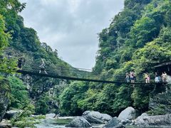 -石台牯牛降景区