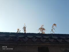 -高旻寺