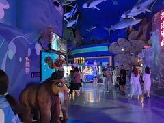 -烟台海昌鲸鲨海洋公园