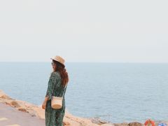 -广东惠东海龟国家级自然保护区