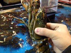 -盒马鲜生(宝地店)