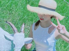 -玫瑰海岸文化旅游度假区