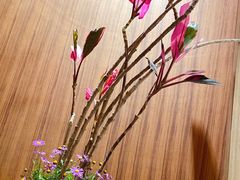 -二酉书店TOYOU BOOKS