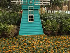 -南宫五洲植物乐园