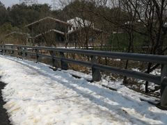 -西湖风景区-江洋畈生态公园